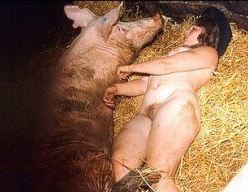 Pig Sex - farm xxx pig and boar sex with sexy female farmer ...